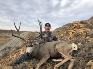 Mule Deer Hunting