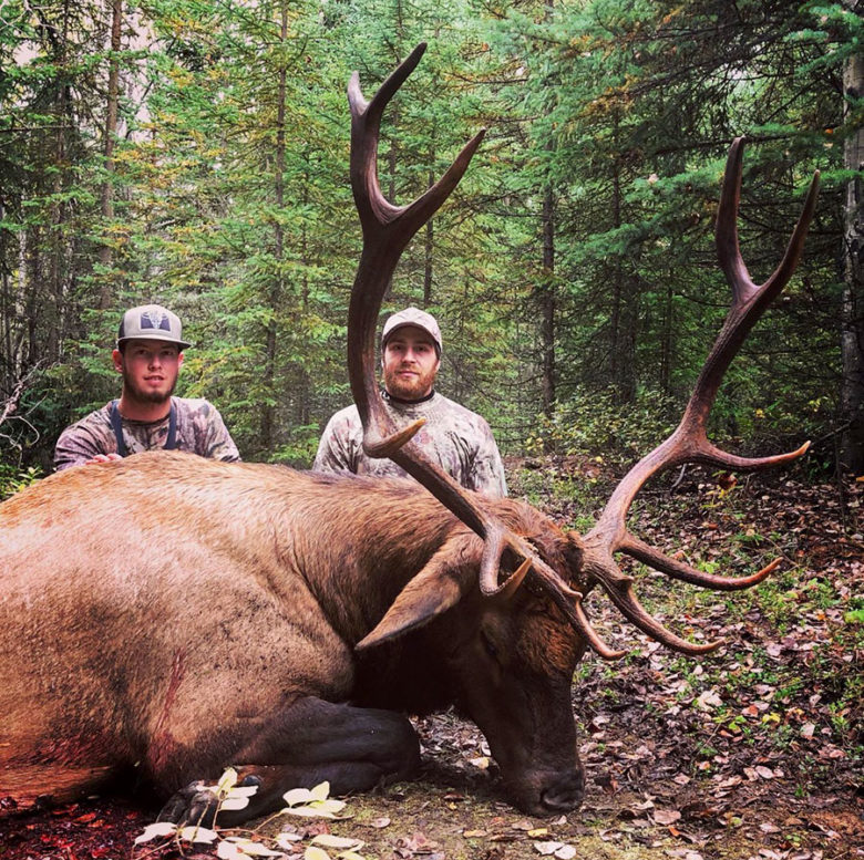 BC Elk Hunts, Hunting For Elk, Wilderness Hunting Adventures With BC ...