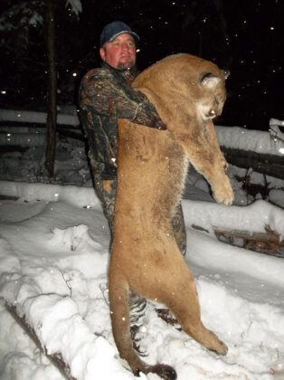 Cougar Cat Hunt