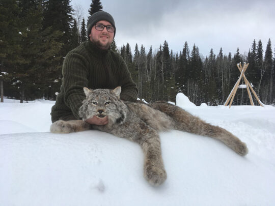 Canada Lynx